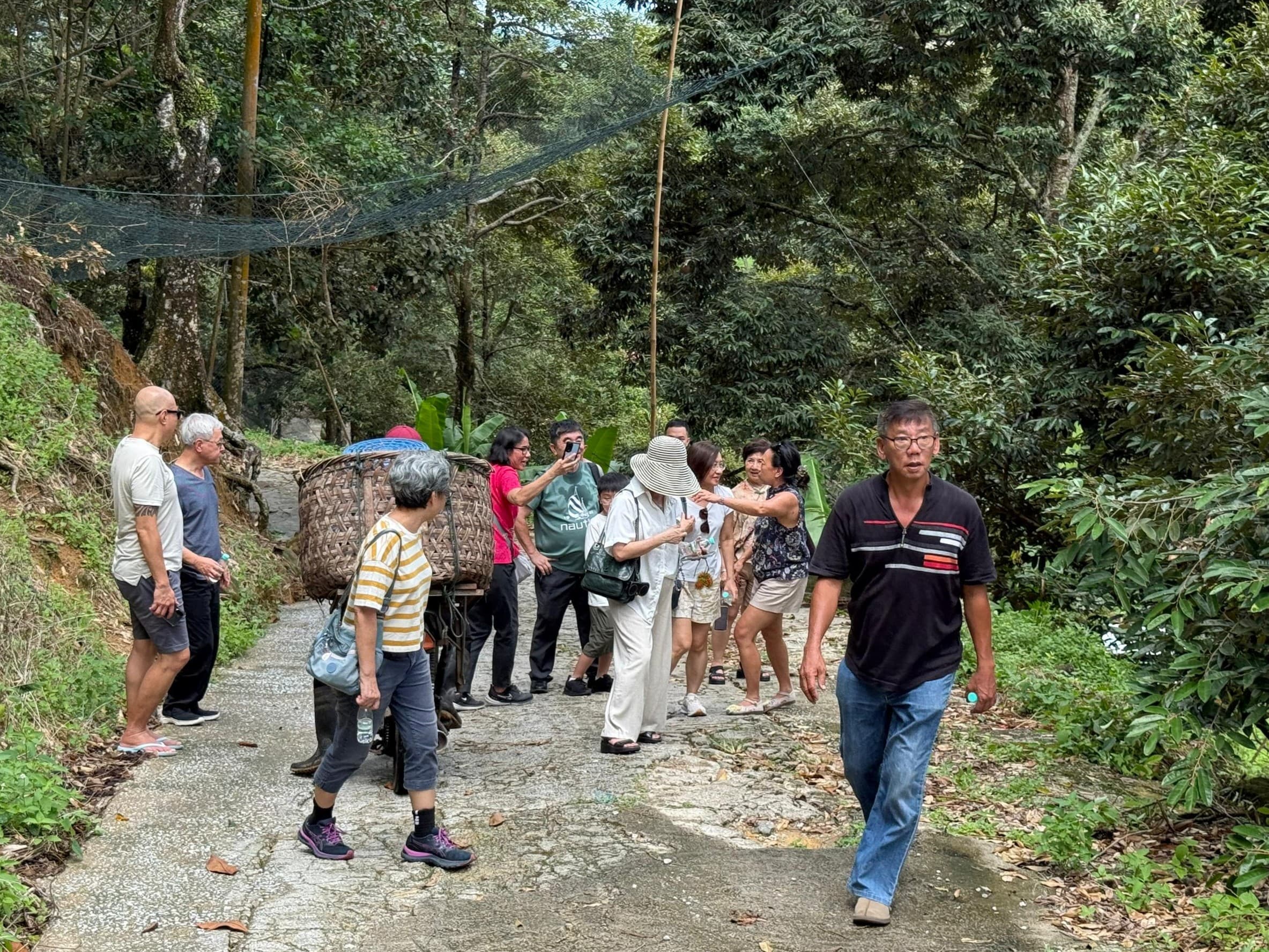 Orchard Tours
